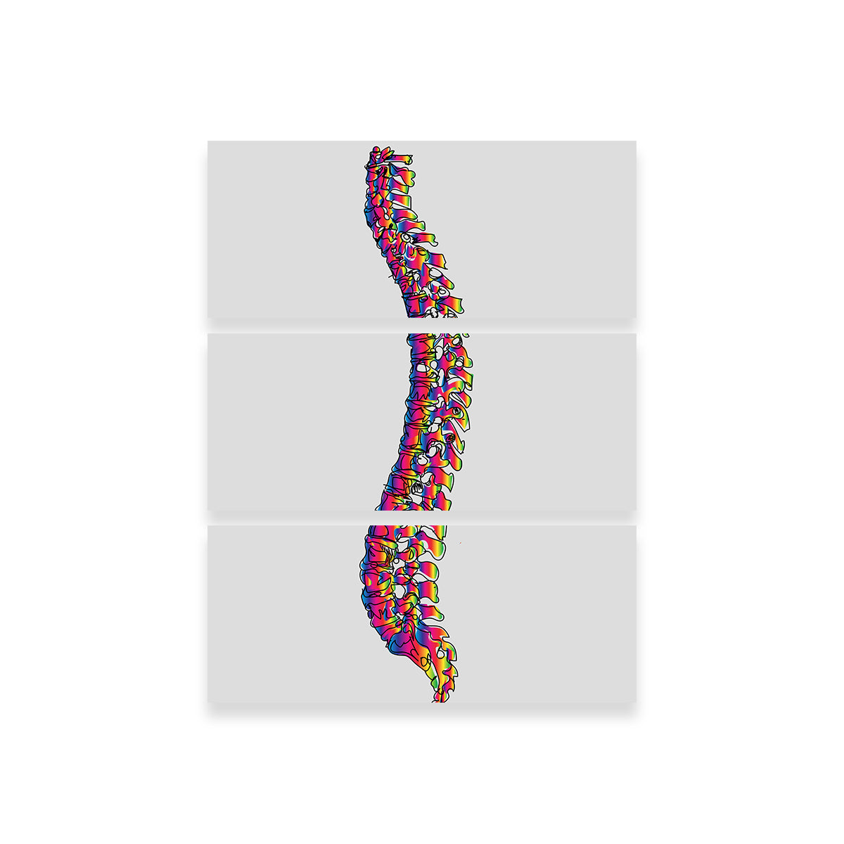 Exquisite Spine Drawing Wall Art for Stunning Interior Decor