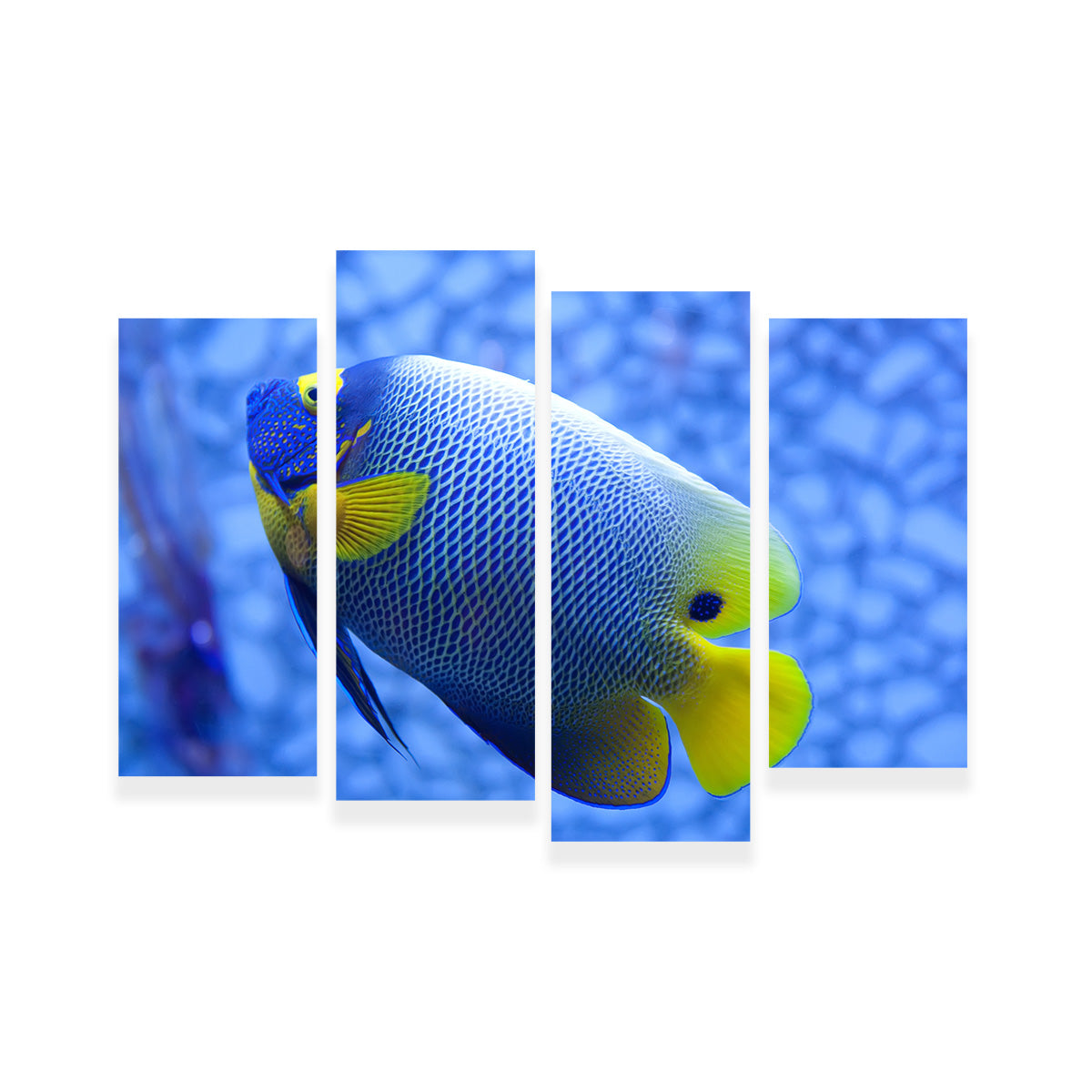 Vibrant Blue and Yellow Tropical Fish Wall Art for Stunning Home Decor