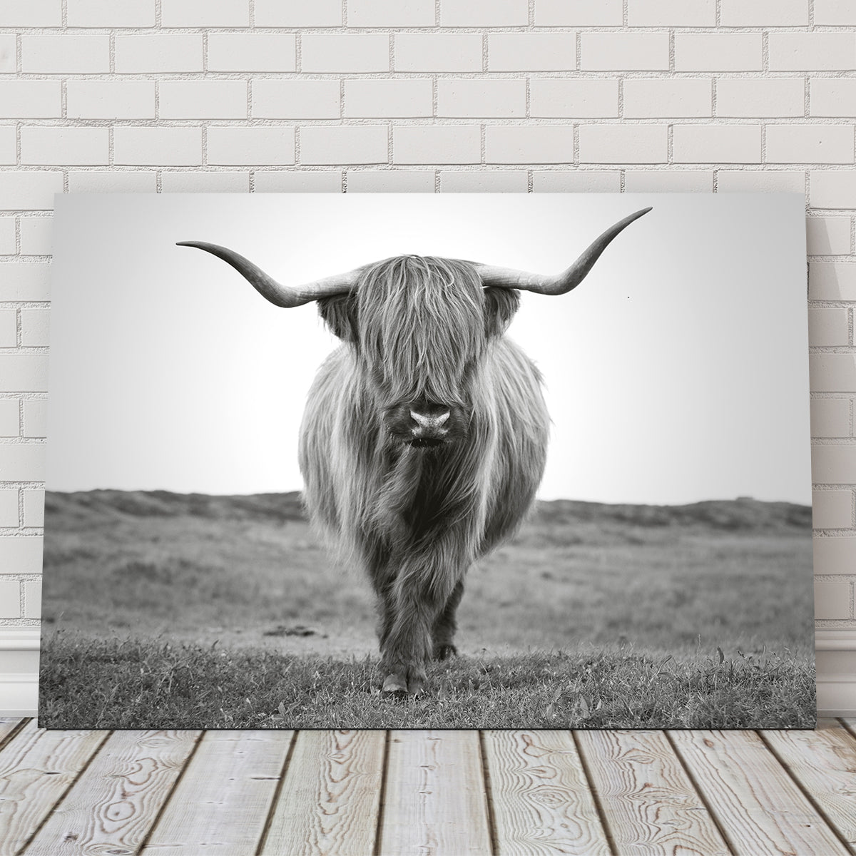 Gorgeous Scottish Bull Wall Art - Ideal for Home Decor