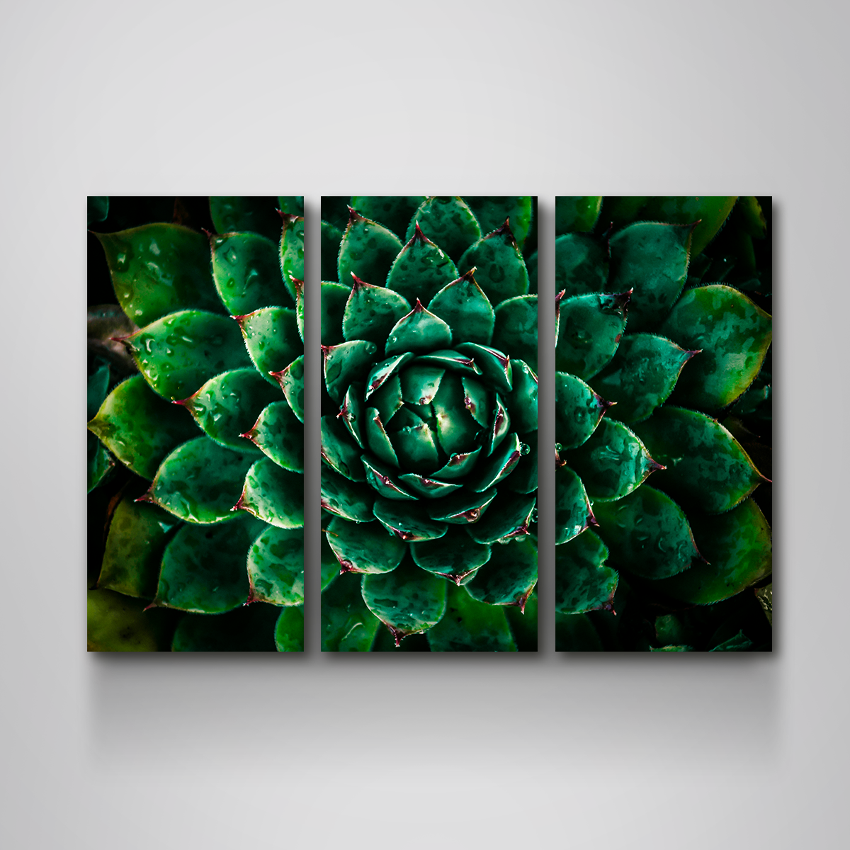 Stunning Green Wall Art by Manuel Luces
