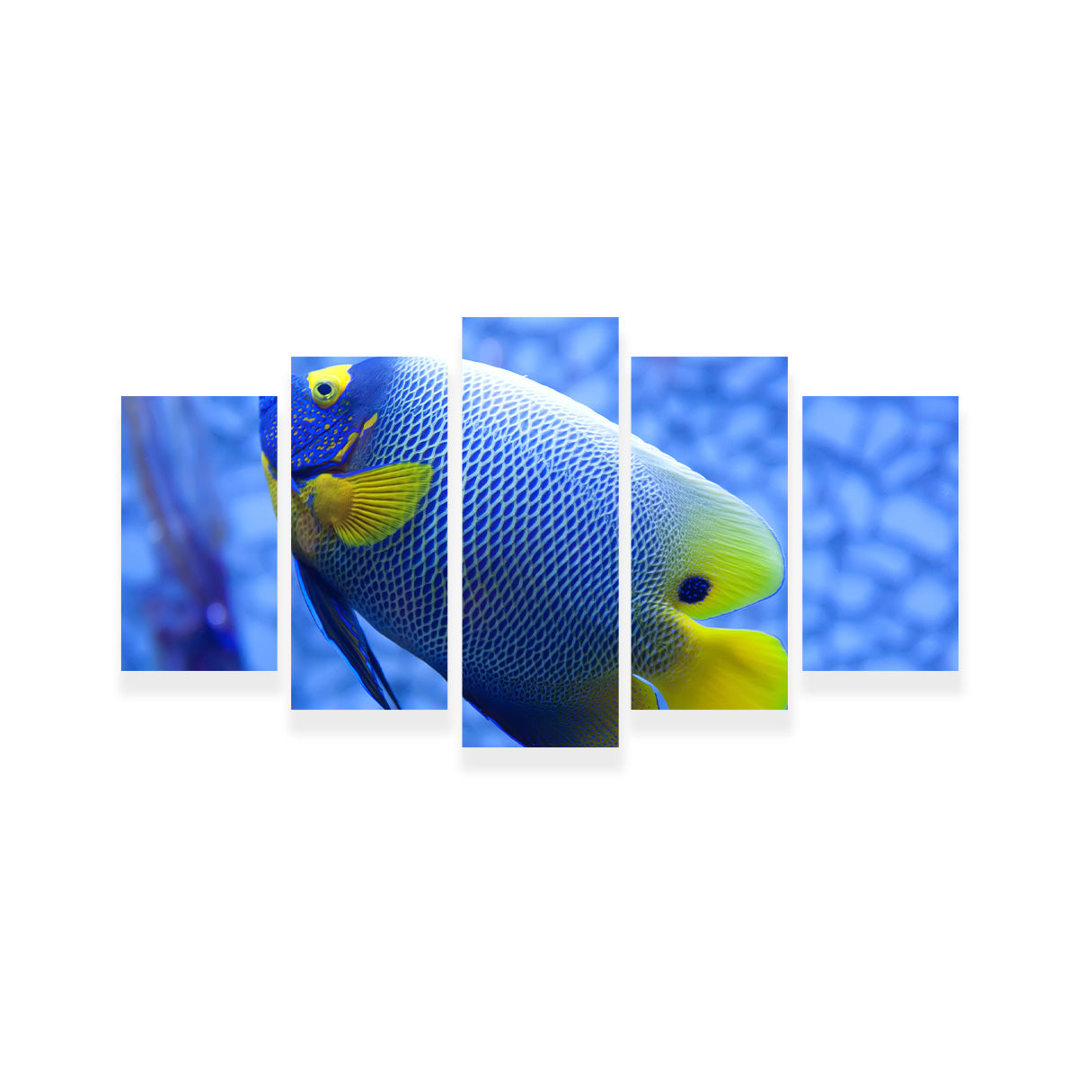 Vibrant Blue and Yellow Tropical Fish Wall Art for Stunning Home Decor