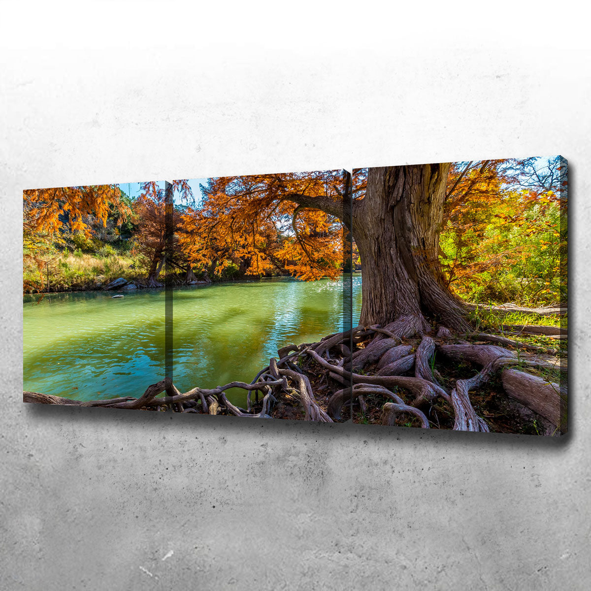 Stunning Guadalupe State Park Wall Art - Museum Quality Canvas