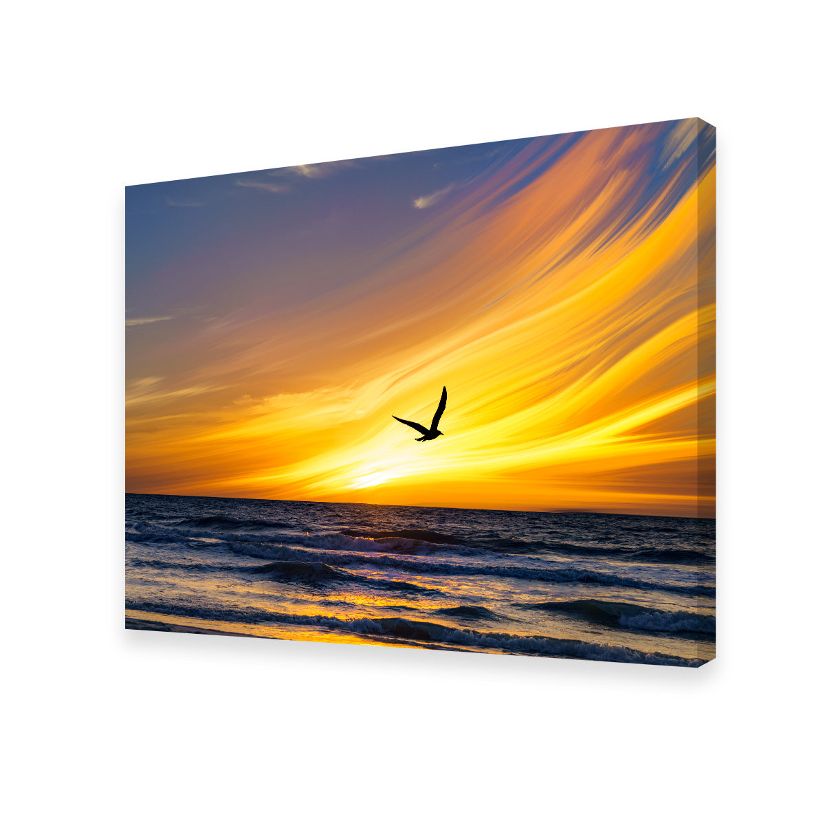 Exquisite A Fly By Wall Art by Eileen Rollin