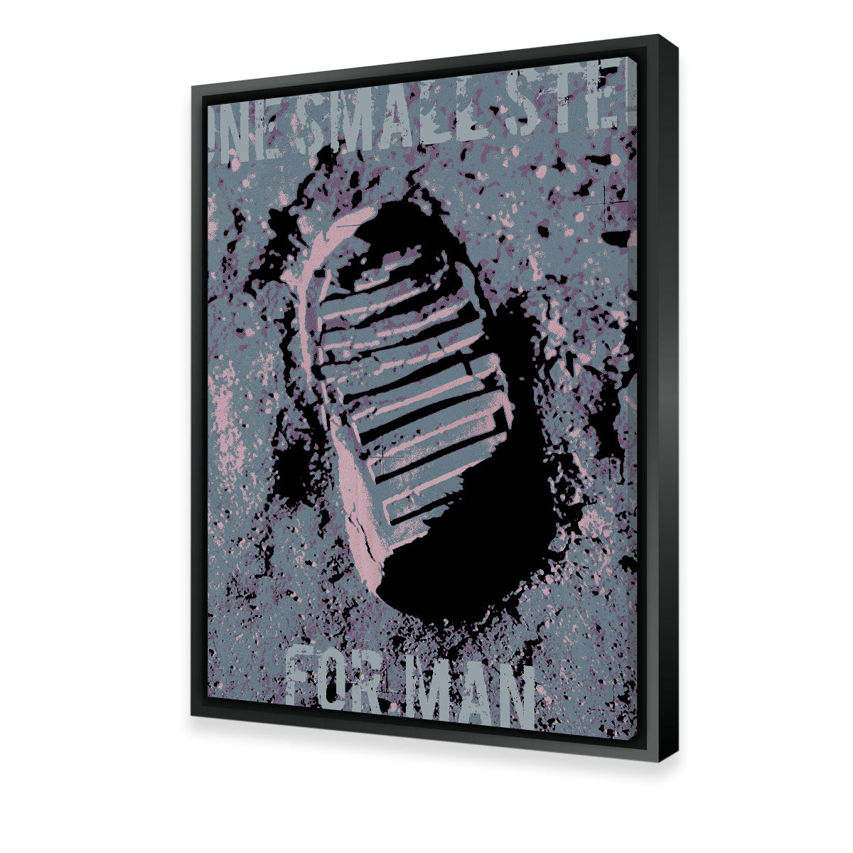 Stunning One Small Step Wall Art by Stephen Chambers