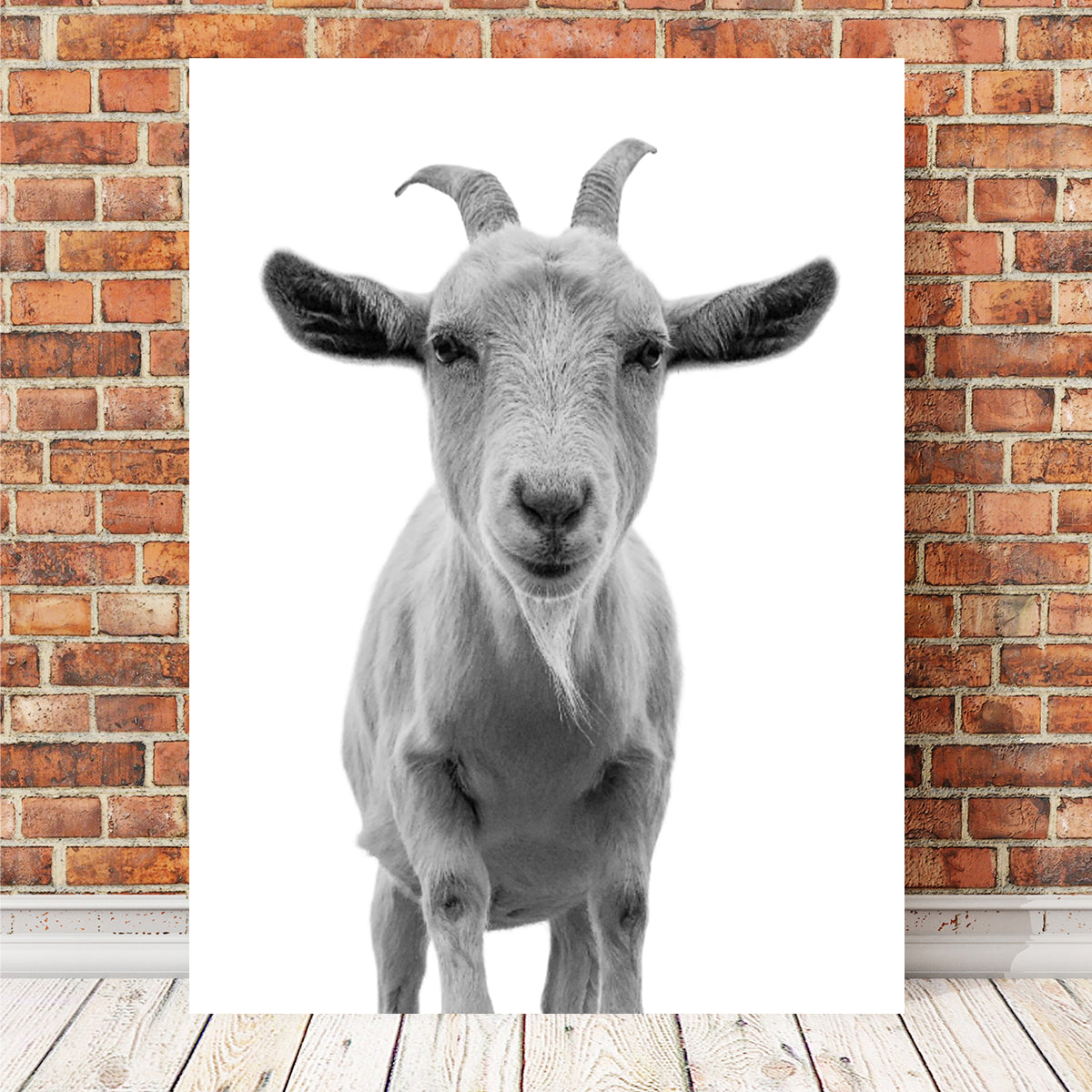 Hilarious Goat Wall Art by Lawisi - Museum Quality