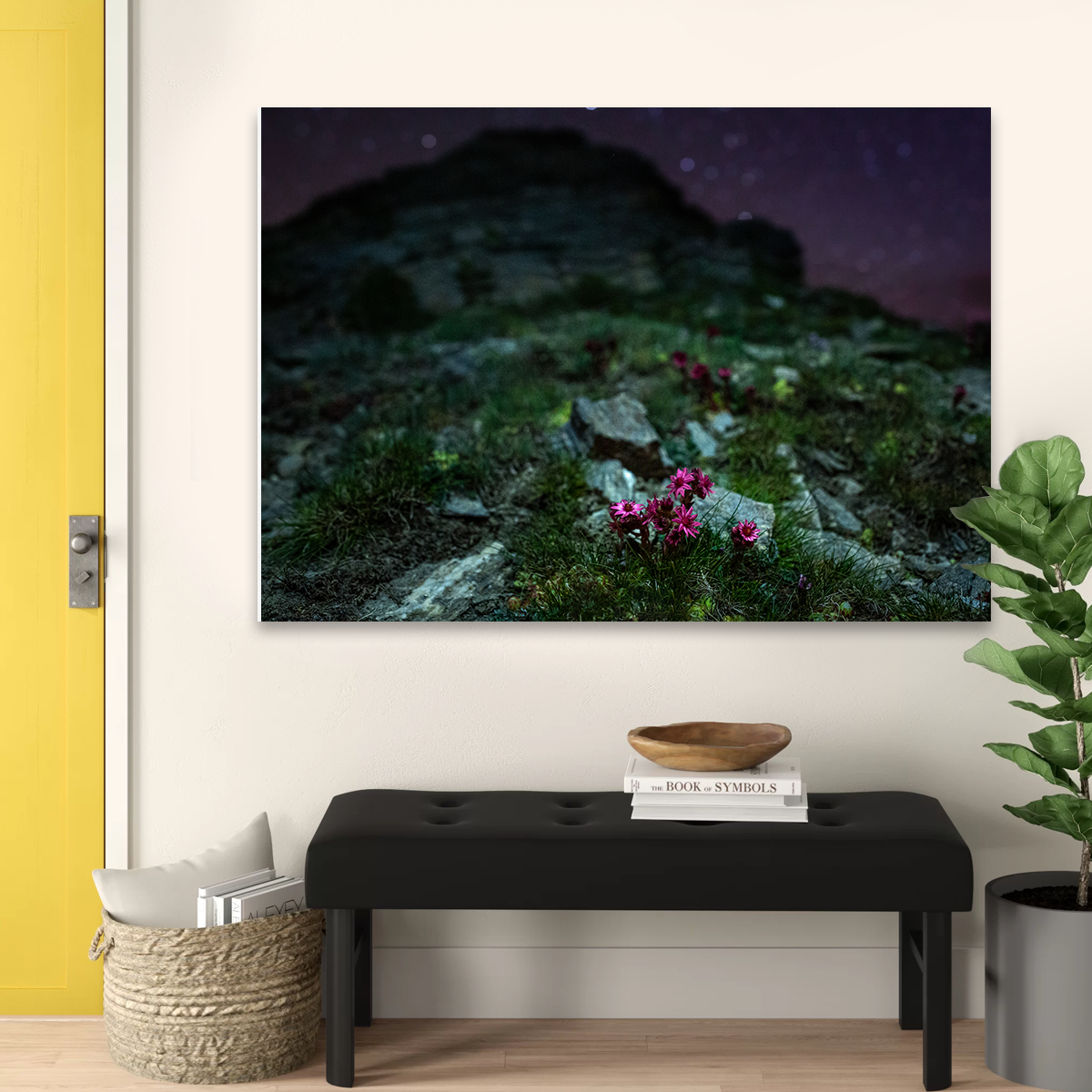 Exquisite Star Studded Joubarbe Wall Art by Jeff Graphy