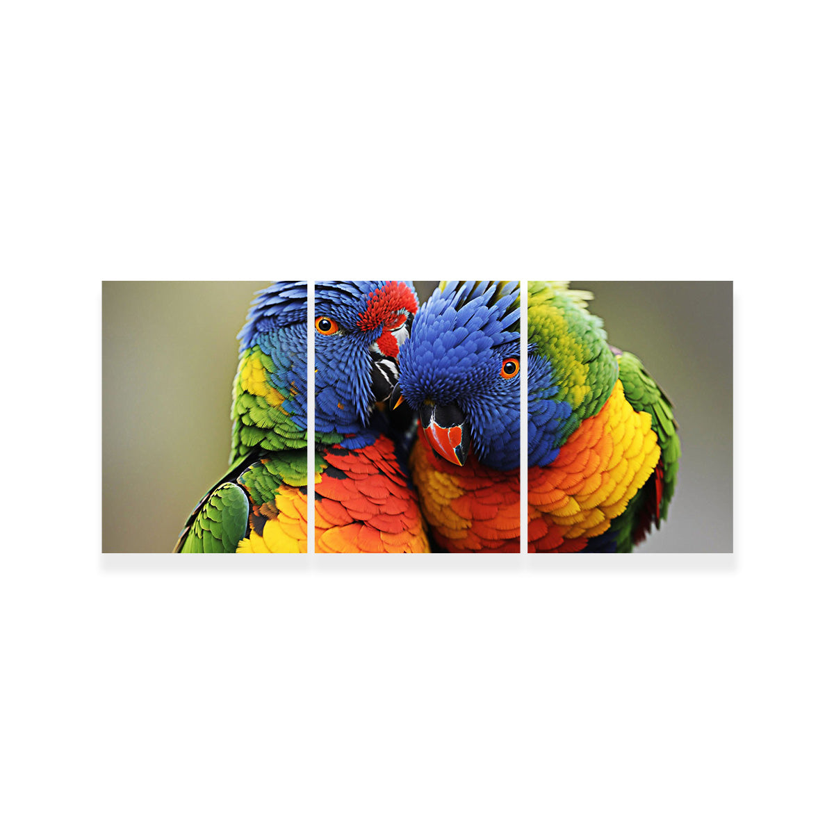 Stunning Lorikeet Birds Wall Art for Your Home Decor