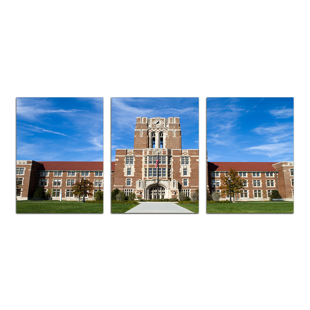 Stunning University of Tennessee Hill Wall Art - Ideal Decor for College Fans