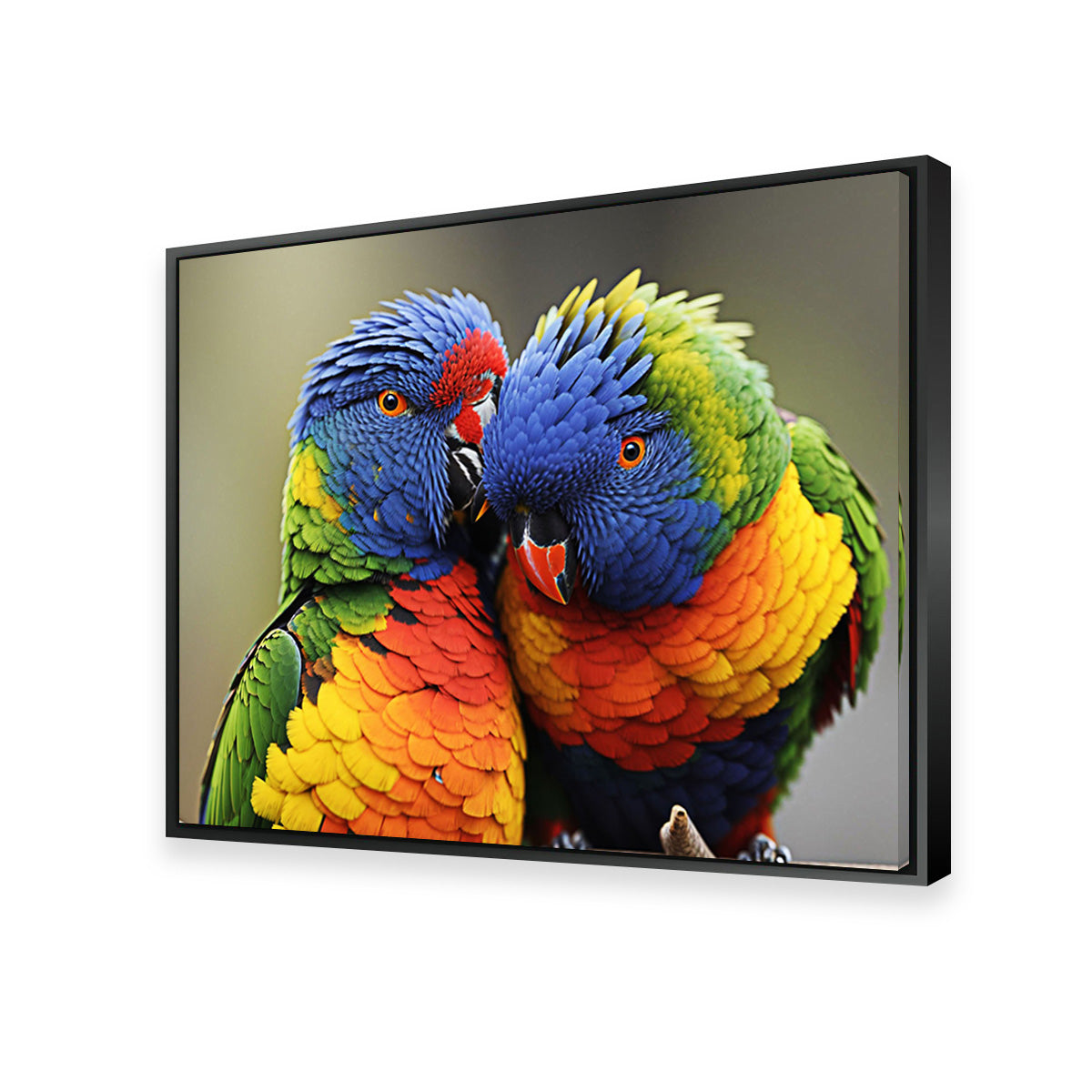 Stunning Lorikeet Birds Wall Art for Your Home Decor
