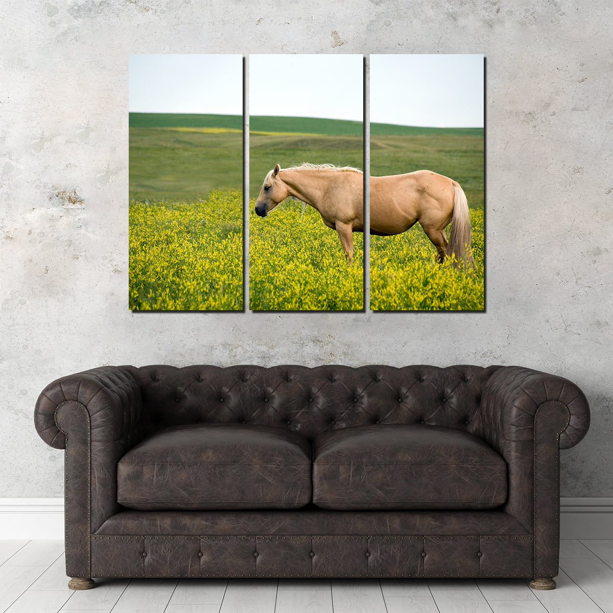 Stunning Palomino Quarter Horse Wall Art for Your Home Decor