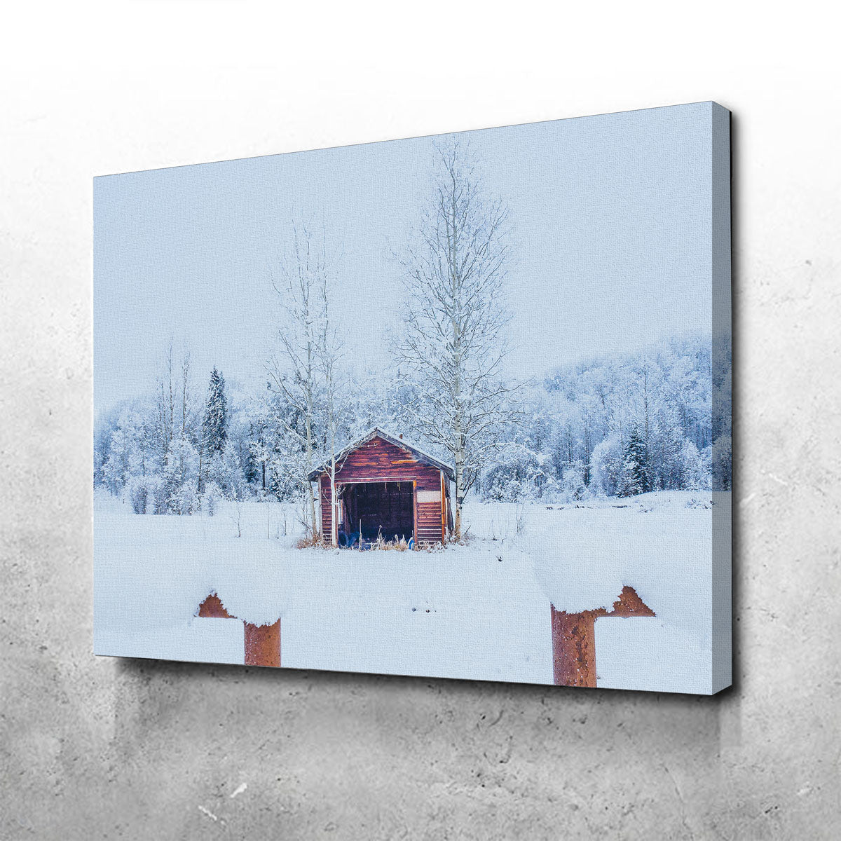 Unique Abandoned Shed Wall Art by Mike Cotton