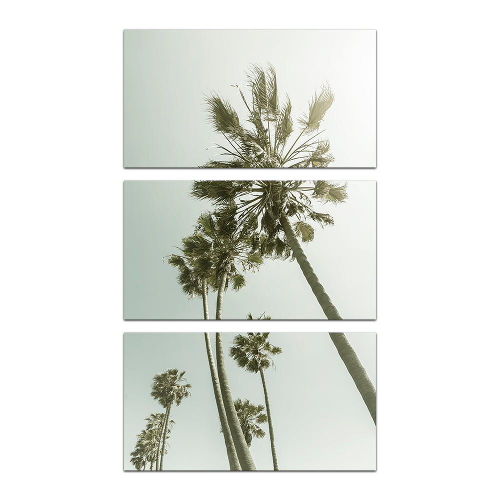 Exquisite Palm Trees in the Sun Wall Art for Stunning Decor