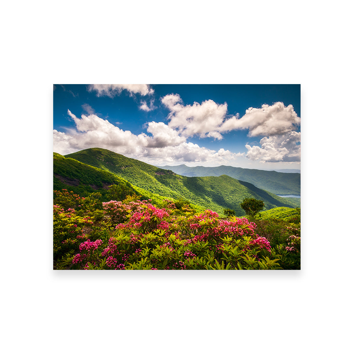 Stunning Blue Ridge Parkway Wall Art for Your Home Decor