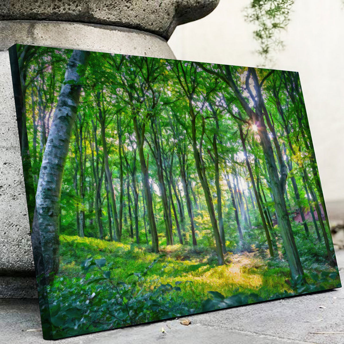 Gorgeous Emerald Forest Wall Art by Denise Dundon