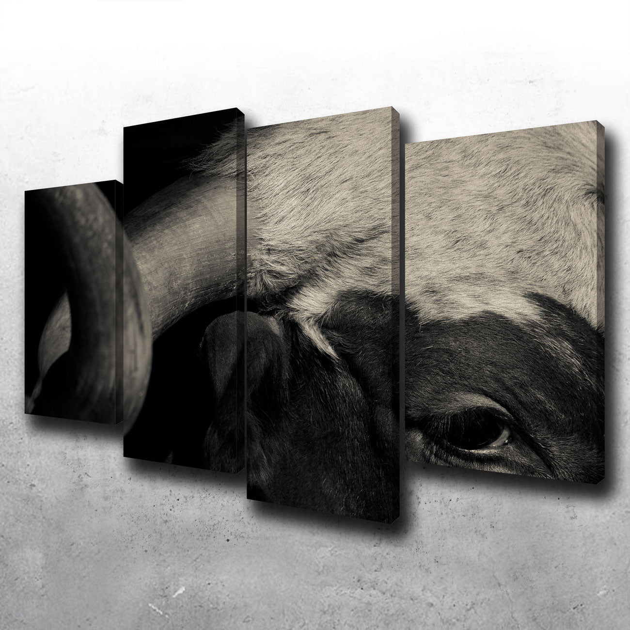 Stunning Texas Longhorn Cow Wall Art for Your Home Decor