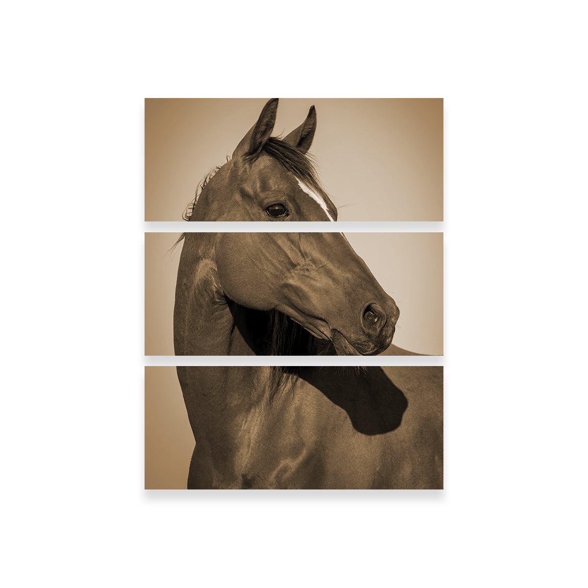 Stunning Quarter Horse Wall Art for Your Home Decor