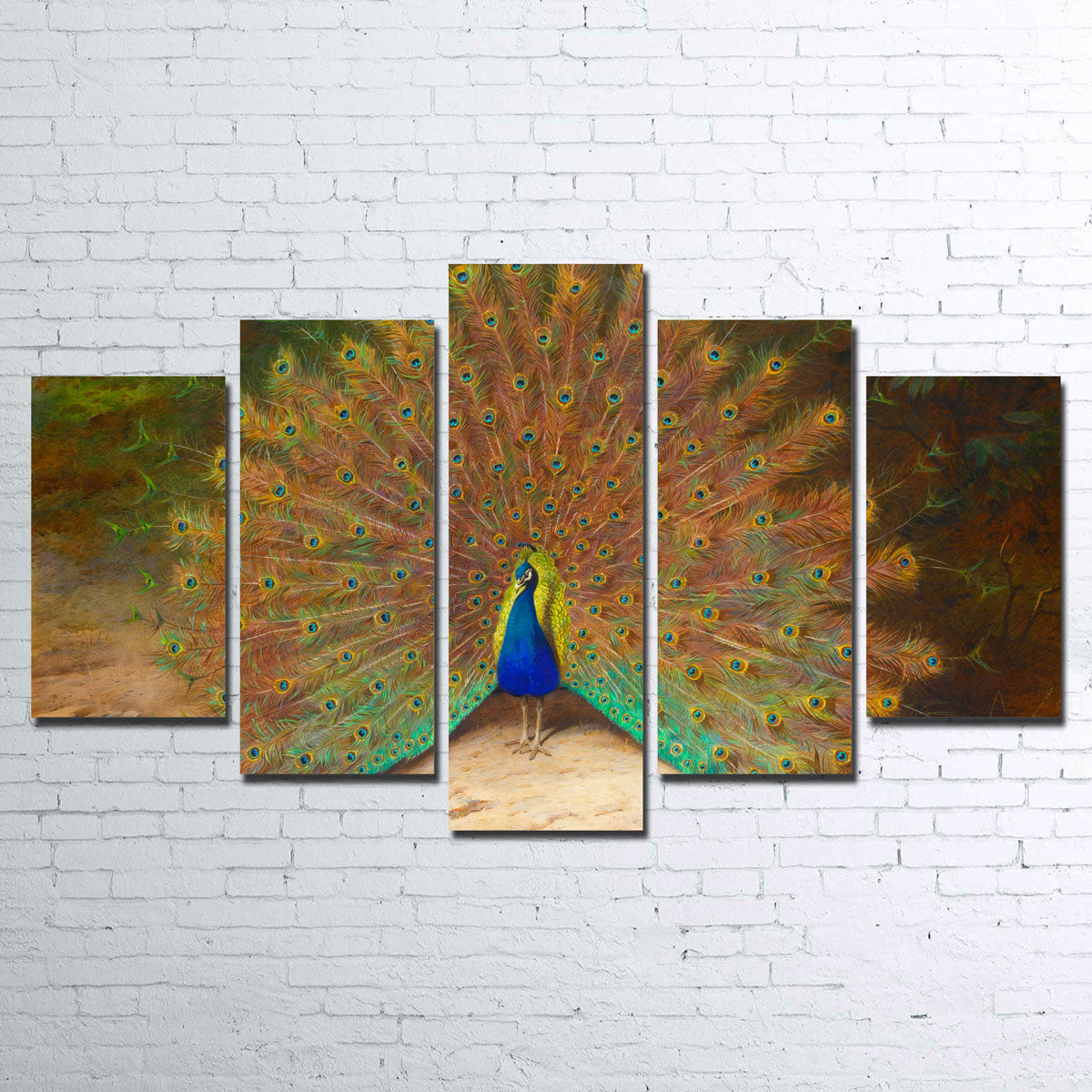 Exquisite Peacock and Peacock Butterfly Wall Art by Archibald Thorburn