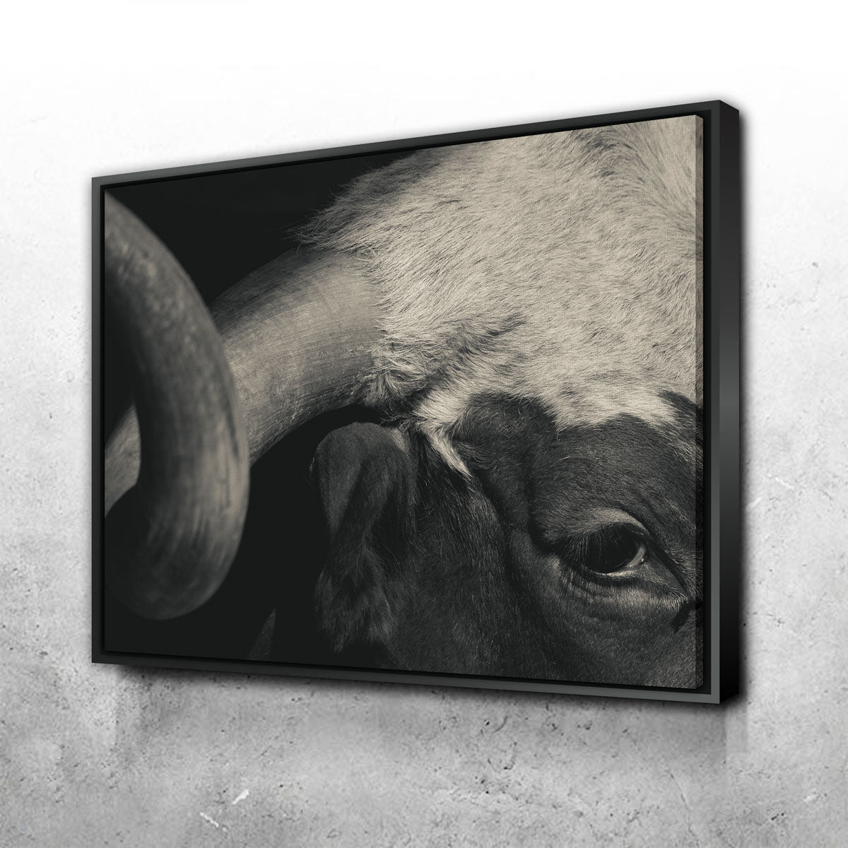 Stunning Texas Longhorn Cow Wall Art for Your Home Decor