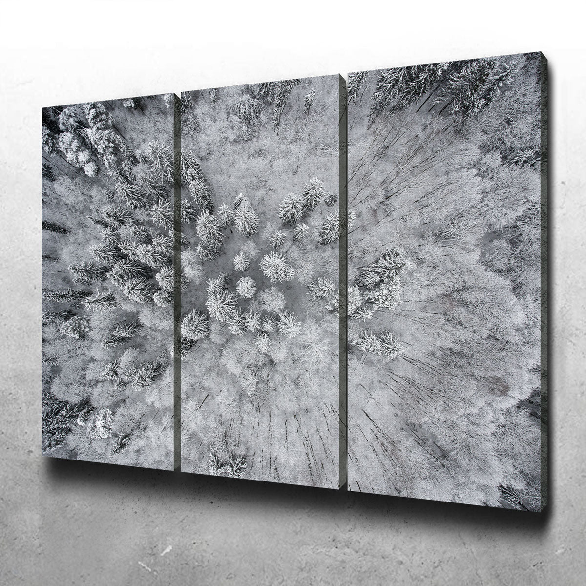 Exquisite Forest Snow Wall Art by Karolis Janulis