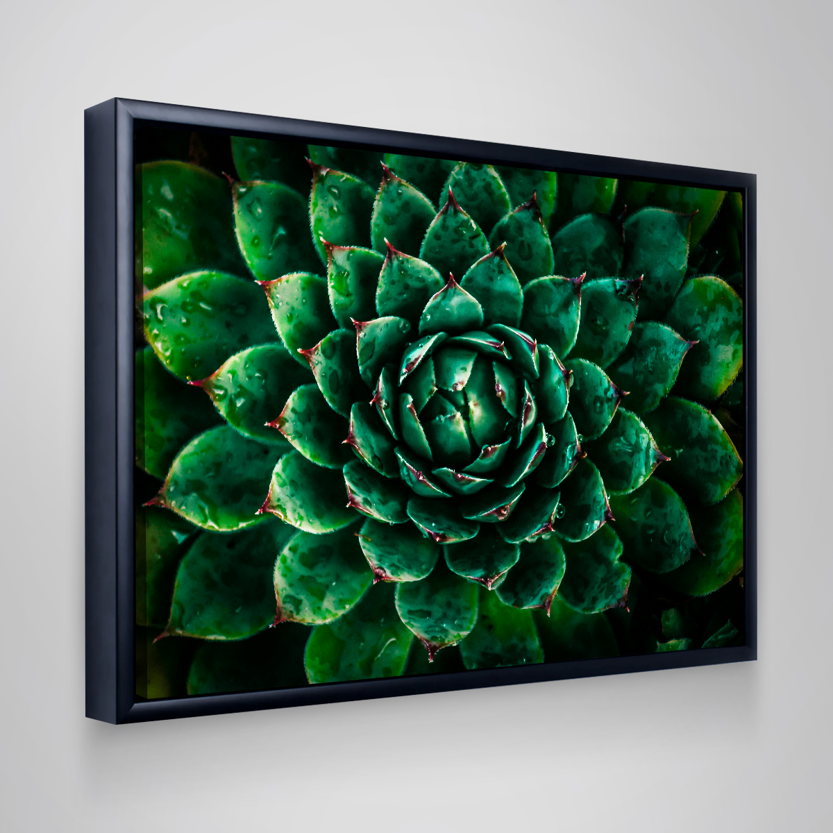 Stunning Green Wall Art by Manuel Luces