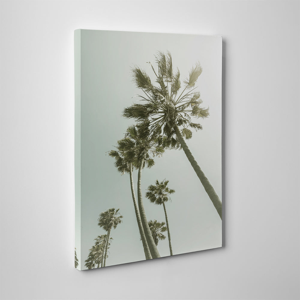 Exquisite Palm Trees in the Sun Wall Art for Stunning Decor