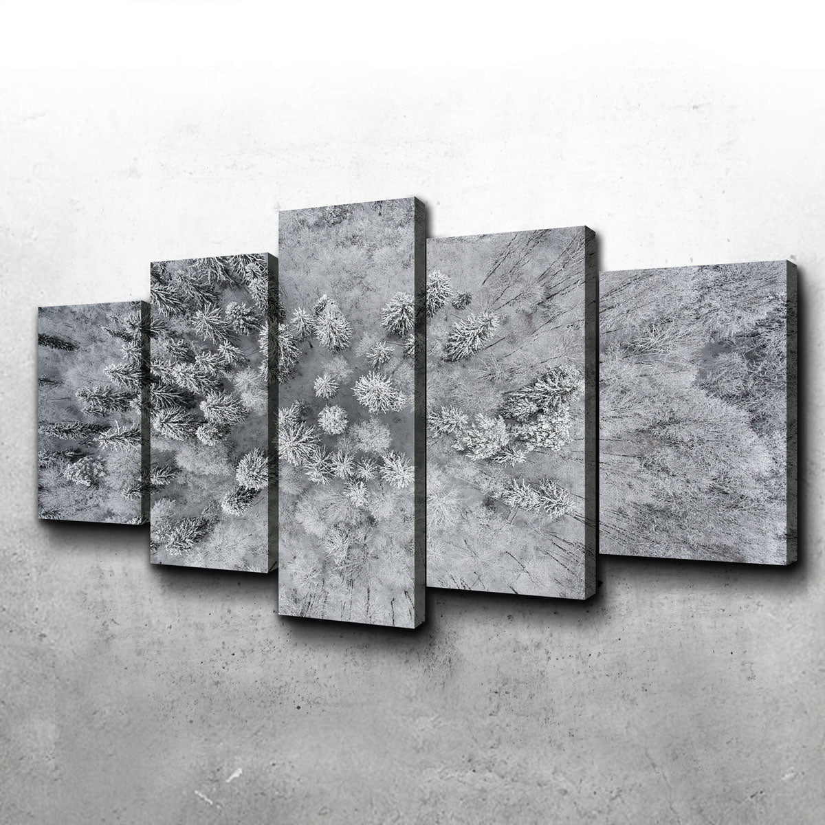 Exquisite Forest Snow Wall Art by Karolis Janulis
