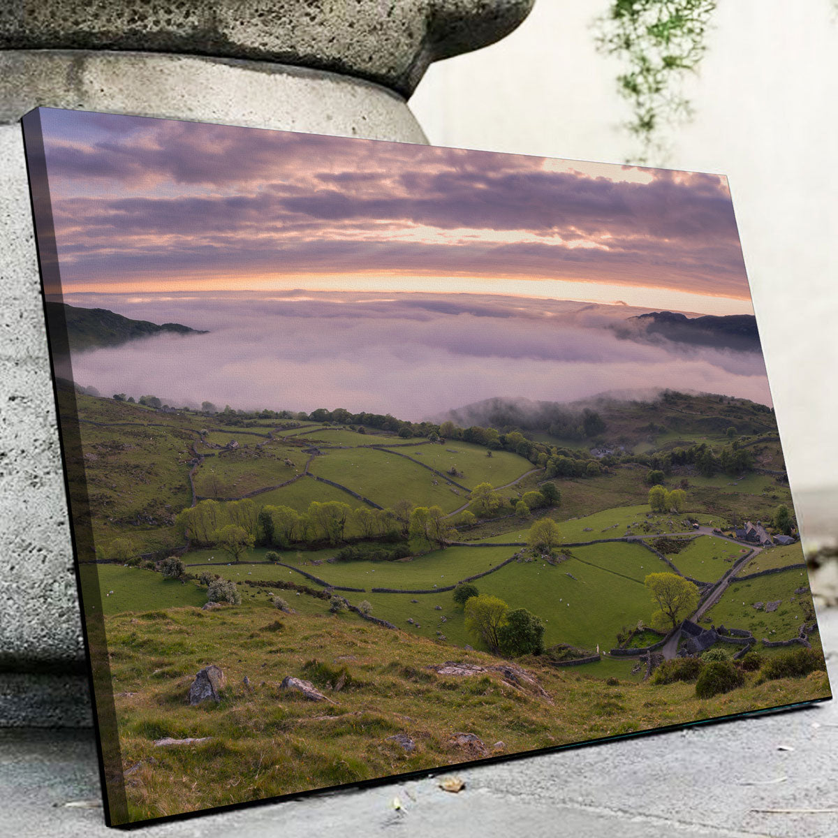 Stunning Receding Fog Wall Art by Mike Cotton