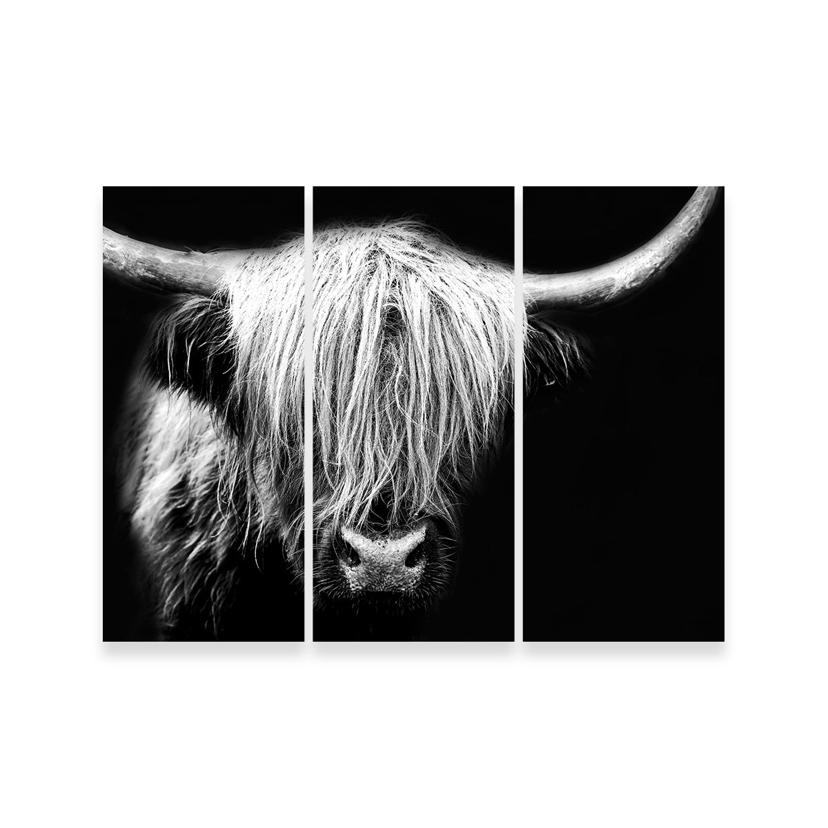 Stunning Grayscale Highland Cow Wall Art for Your Home Decor