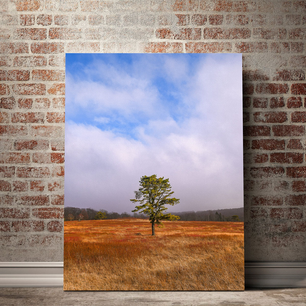 Enchanting Distant Fog Wall Art by Dennis Maida