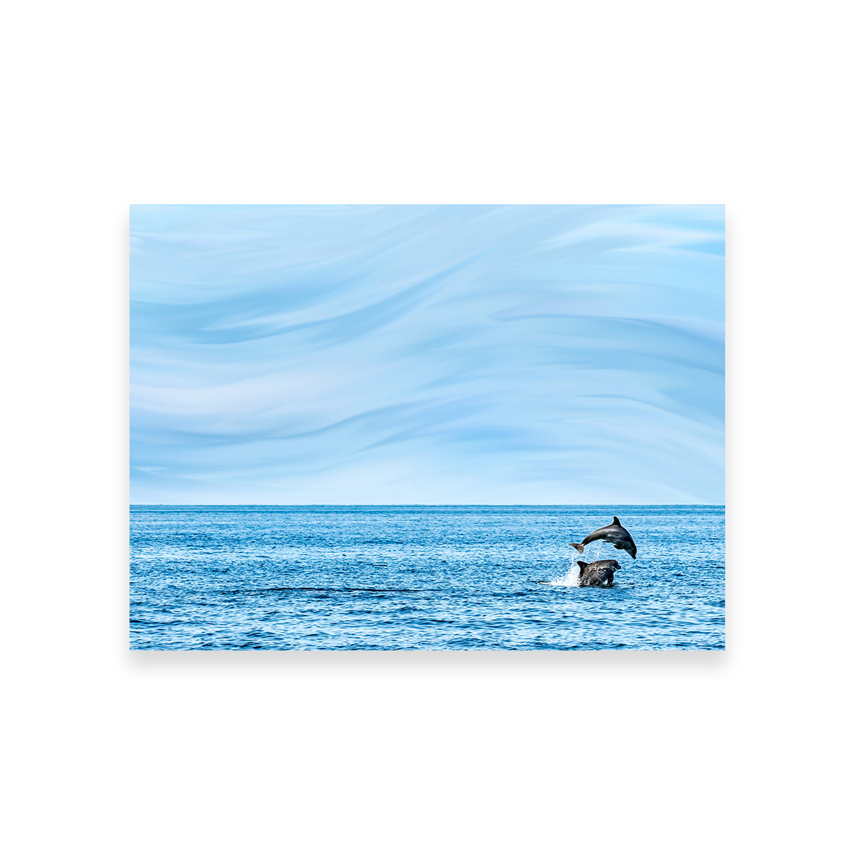 Rollin's Stunning Jumping Dolphins Wall Art by Eileen Rollin