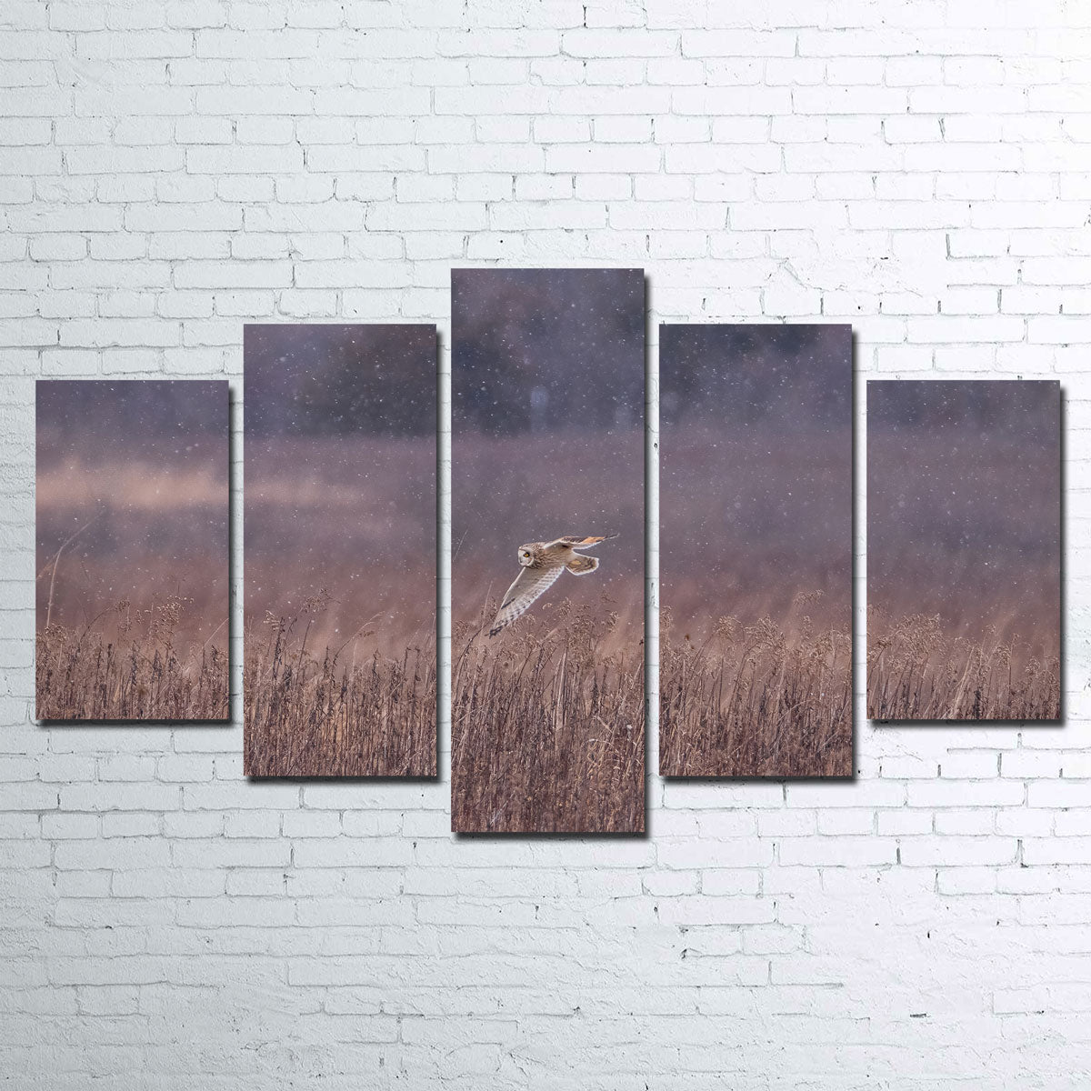 Stunning Owl in the Snow Wall Art by Dennis Maida