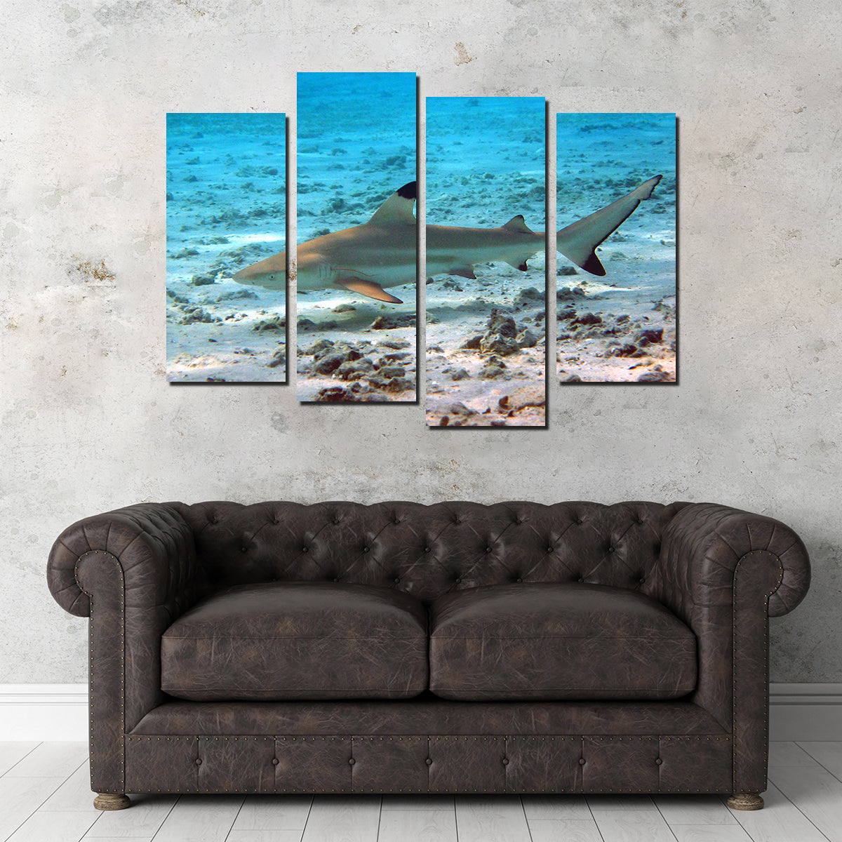 Stunning Black Tip Reef Shark Wall Art for Your Home Decor