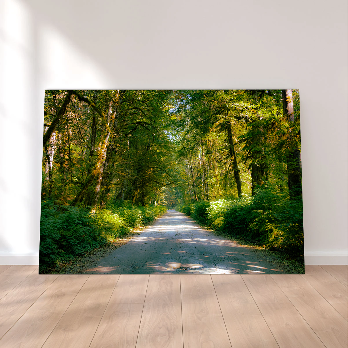 Exquisite Rainforest Road Wall Art by Kyle Sherry