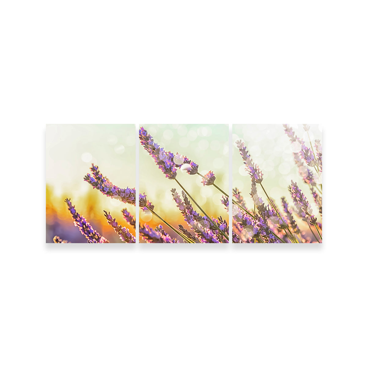 Gorgeous Sparkling Lavender Wall Art by Manjik Pictures