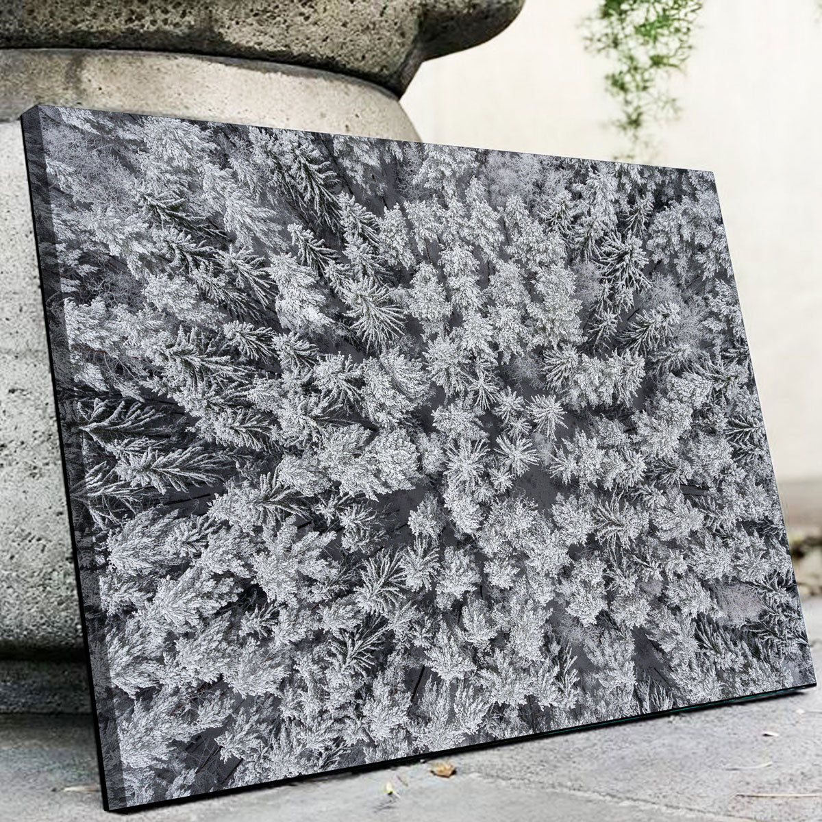 Exquisite Frosted Tips Wall Art by Karolis Janulis