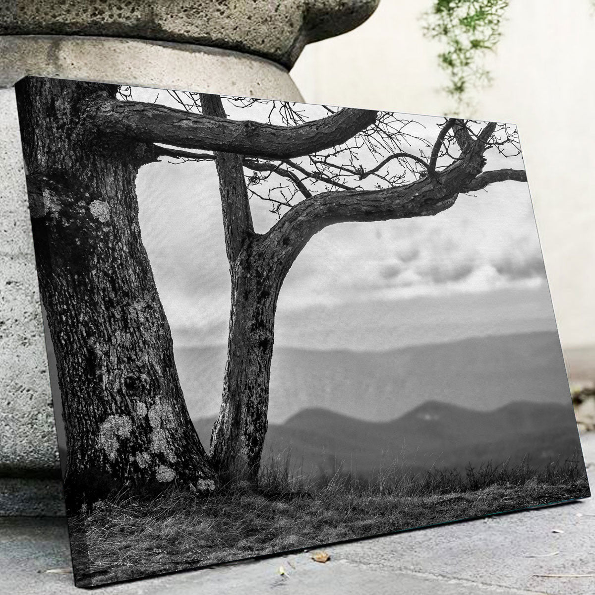 Stunning Desolate Limbs Wall Art by Dennis Maida