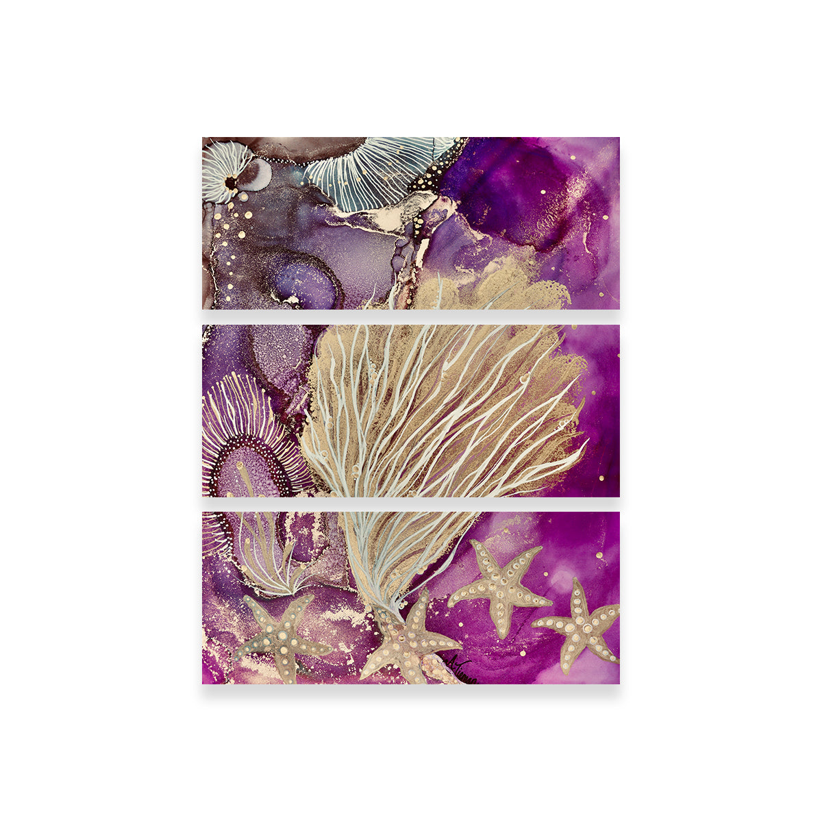 Stunning Blushing Reef Wall Art by Amy Tieman