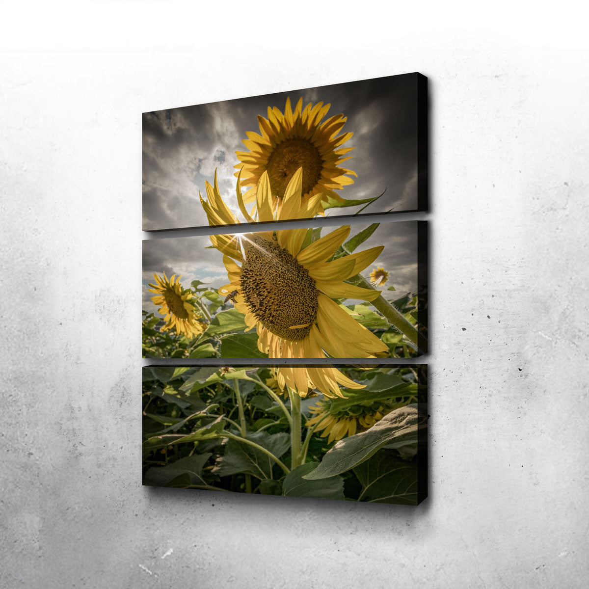 Stunning Cloudy Sunflowers Wall Art for Your Home Decor
