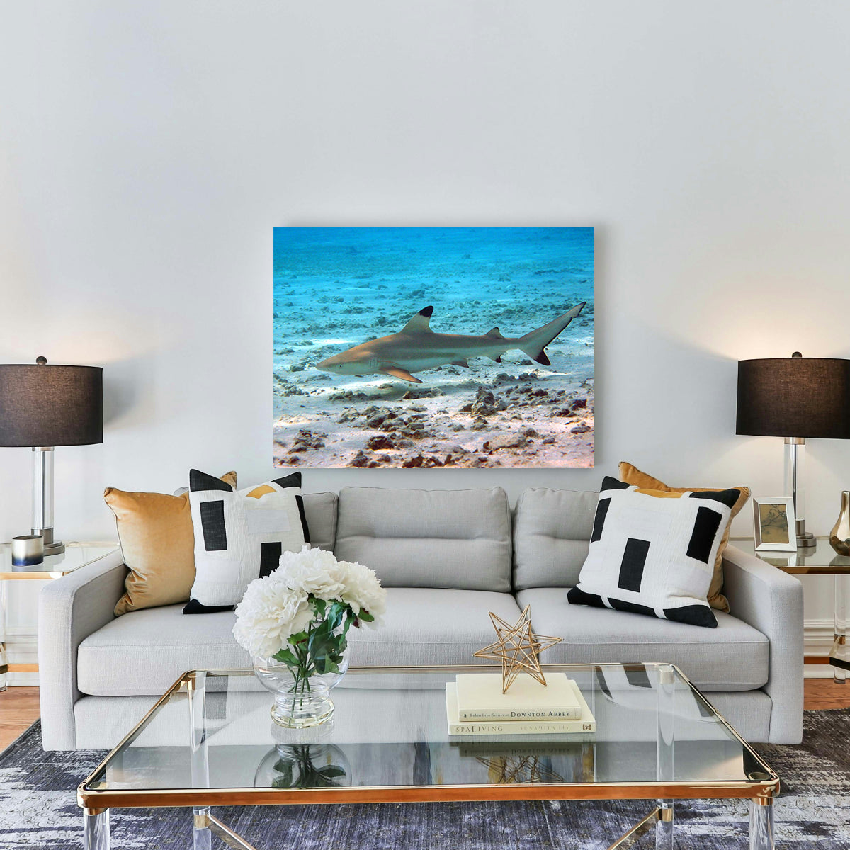 Stunning Black Tip Reef Shark Wall Art for Your Home Decor