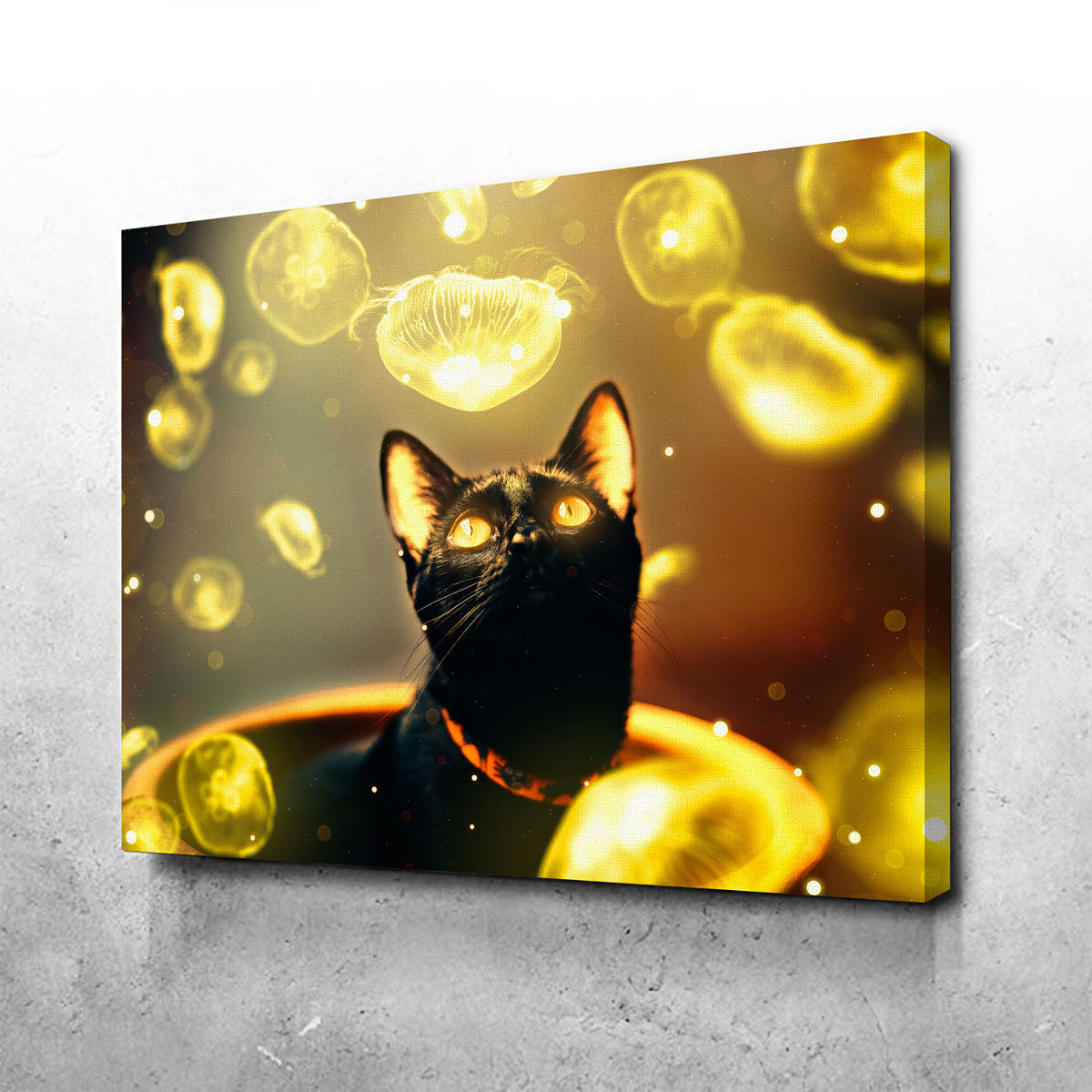 Stunning Black Cat With Jellyfish Wall Art by Manuel Luces