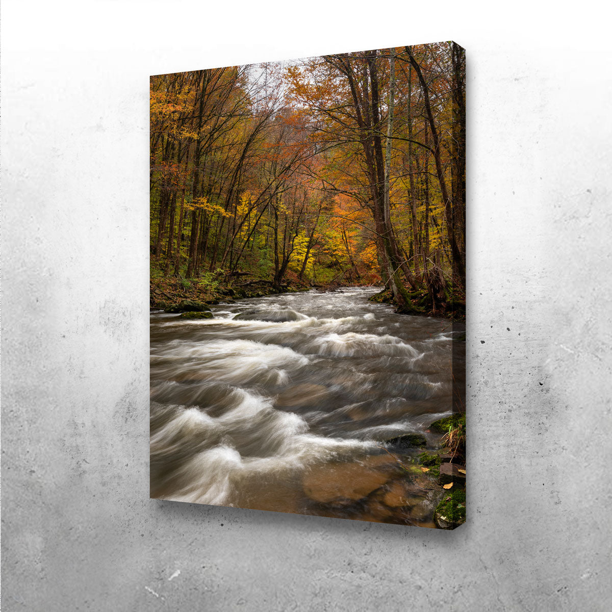 Stunning Tanner's River Wall Art by Shaun Mayer