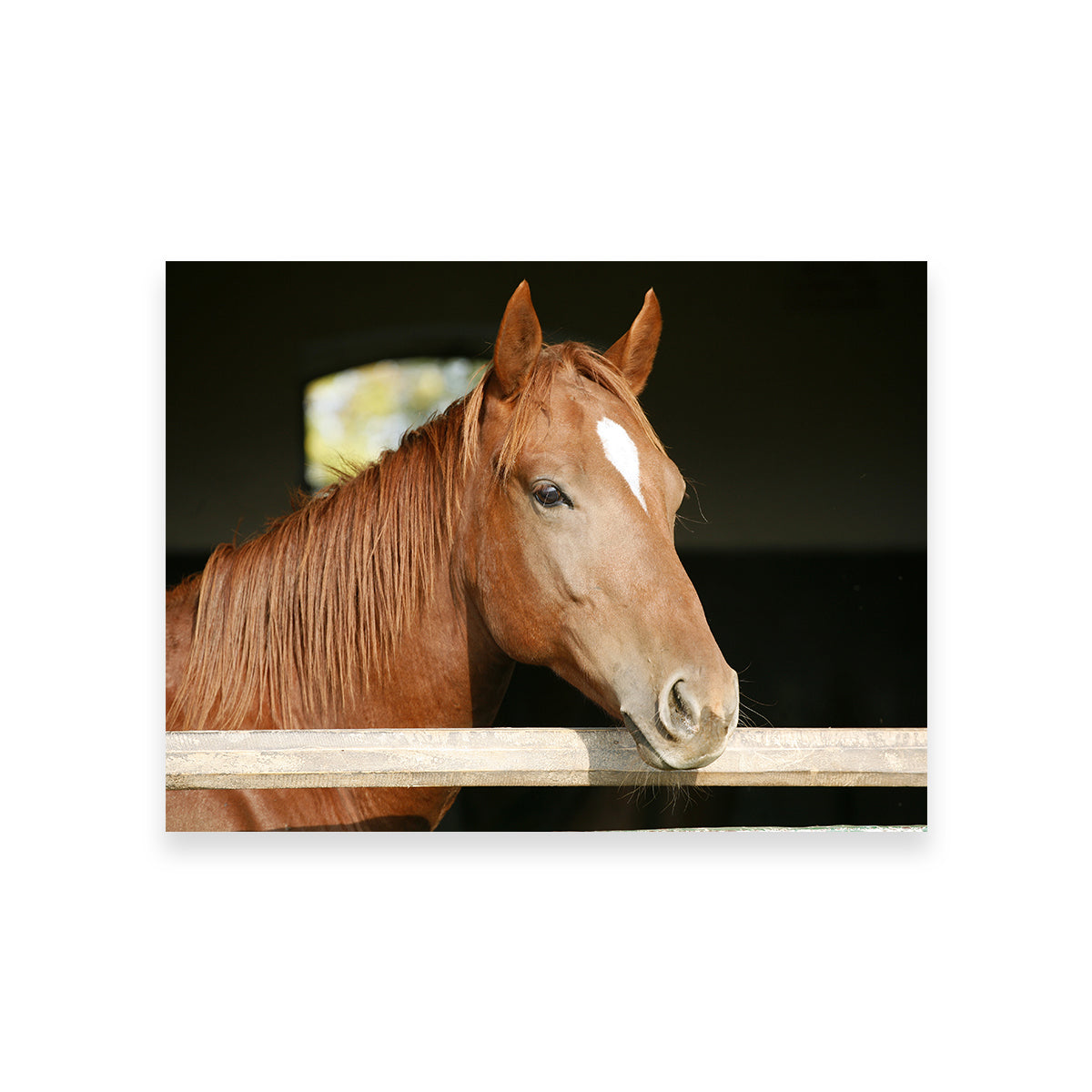 Stunning Chestnut Horse Wall Art for Home Decor