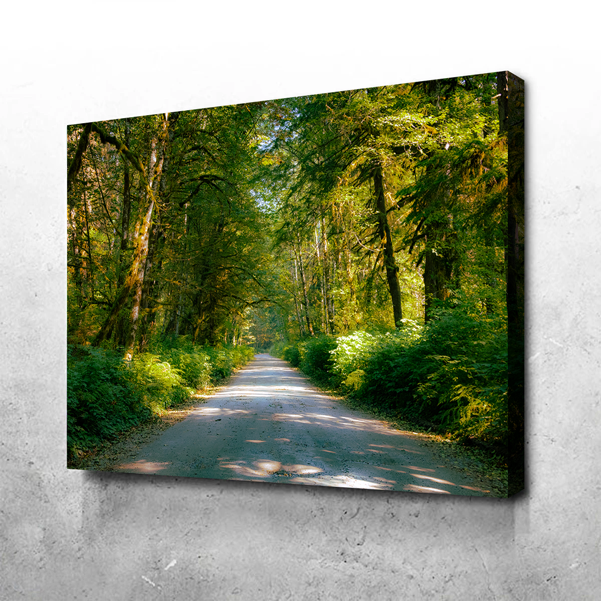 Exquisite Rainforest Road Wall Art by Kyle Sherry