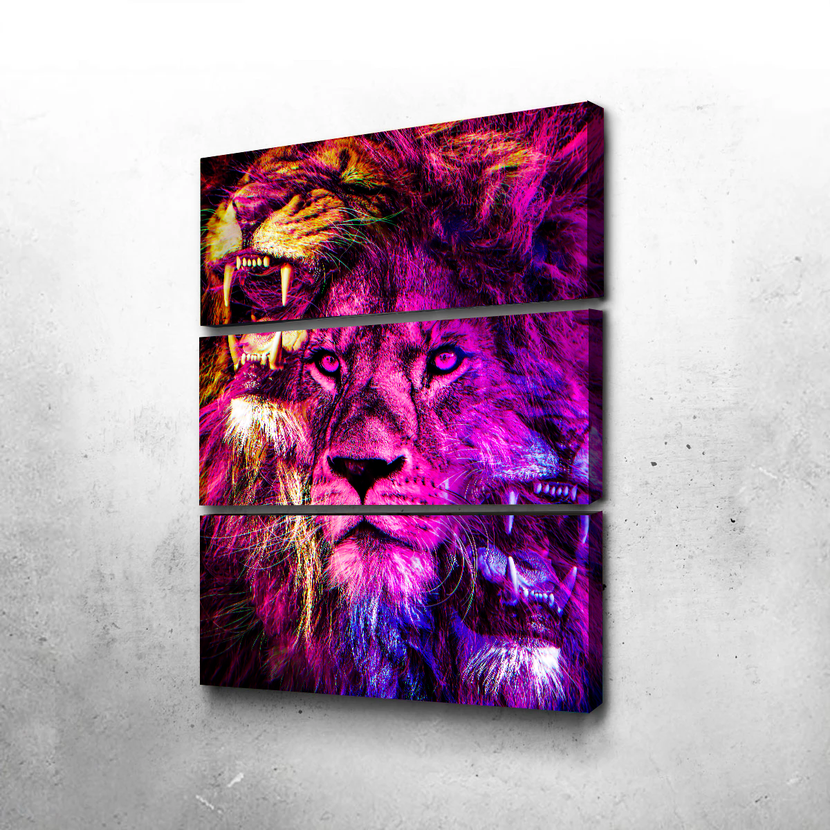 Stunning Lions Wall Art by Manuel Luces