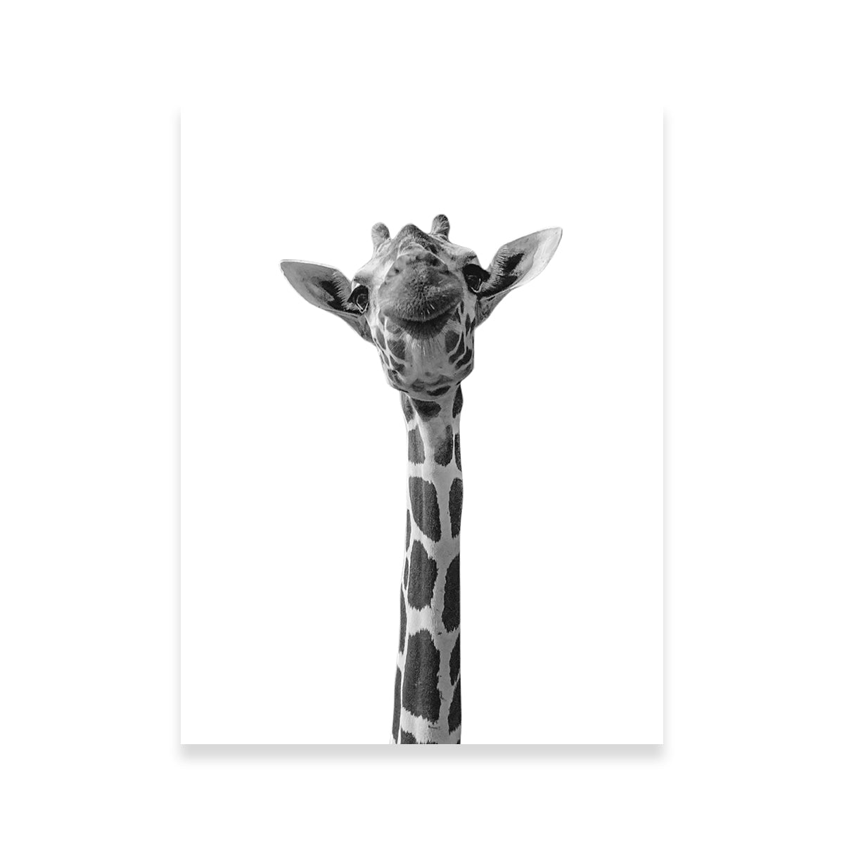 Whimsical Funny Giraffe Wall Art for Stunning Home Decor