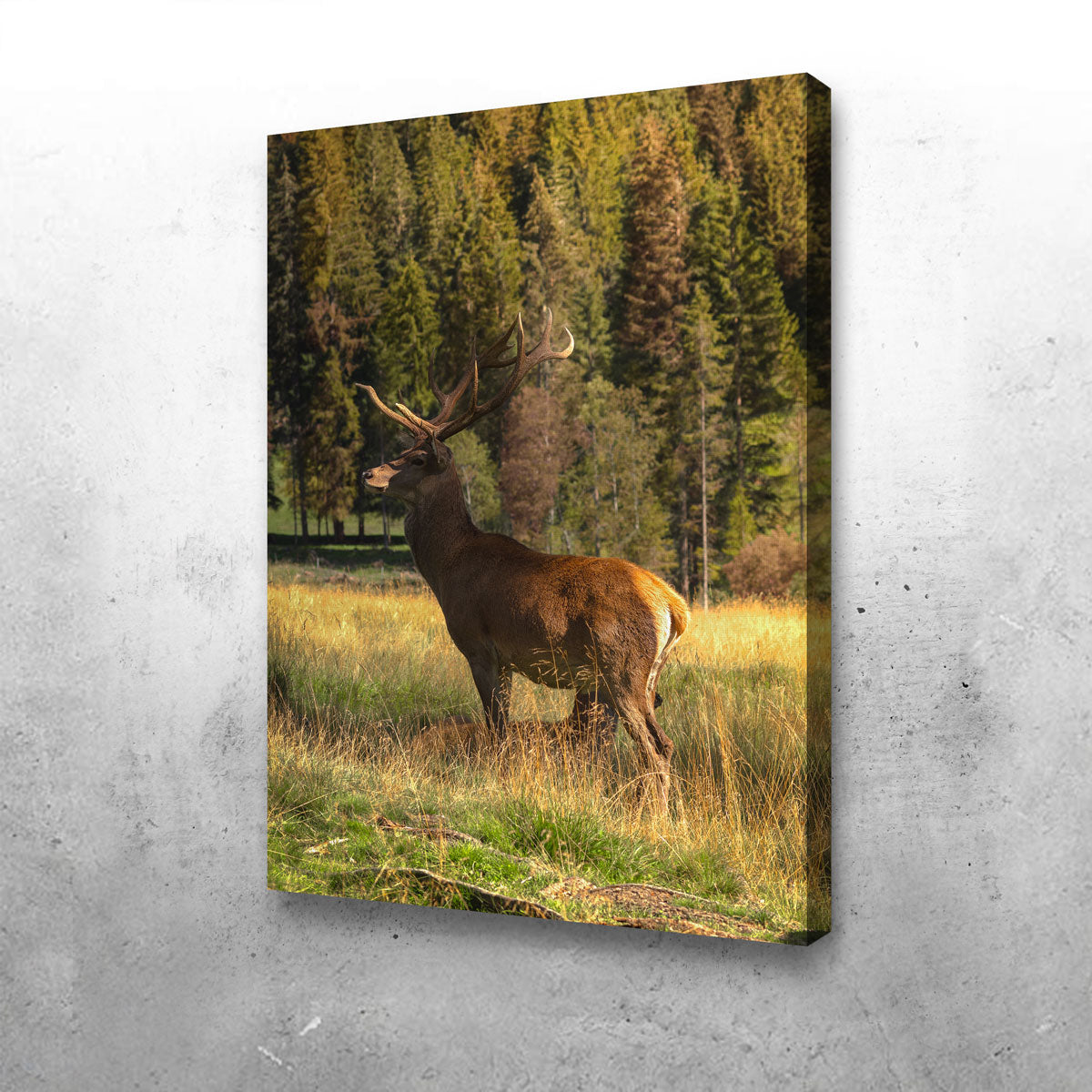Exquisite Deer Wall Art by Enzo Romano