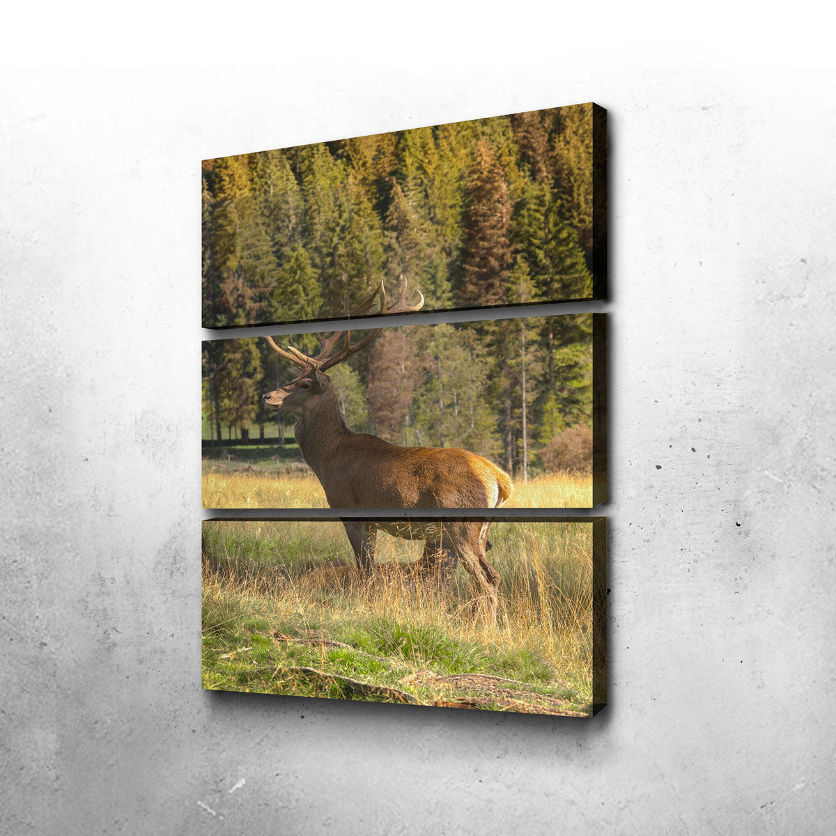 Exquisite Deer Wall Art by Enzo Romano